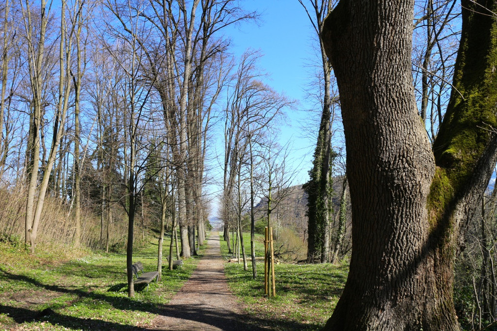 KOE_Wandertipp Margarethenkapf 9.jpg