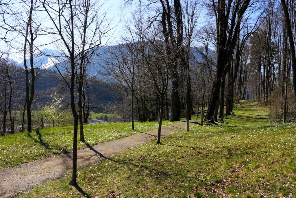 KOE_Wandertipp Margarethenkapf 12.jpg