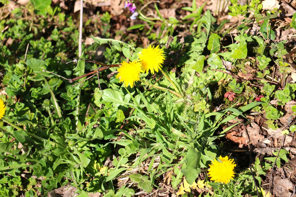 KOE_Wandertipp Margarethenkapf 24.jpg