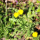 KOE_Wandertipp Margarethenkapf 24.jpg