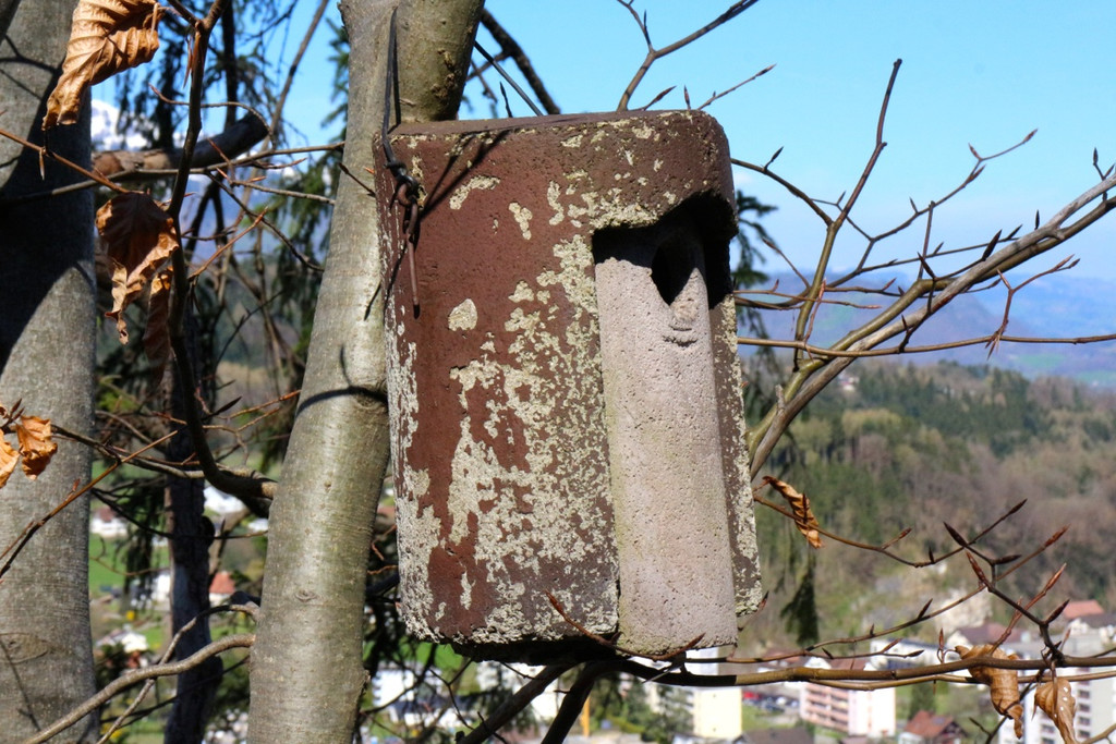 KOE_Wandertipp Margarethenkapf 28.jpg