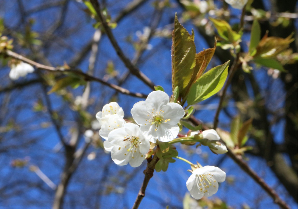 KOE_Wandertipp Margarethenkapf 31.jpg