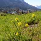 KOE_Wandertipp Margarethenkapf 32.jpg