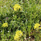 KOE_Wandertipp Margarethenkapf 33.jpg