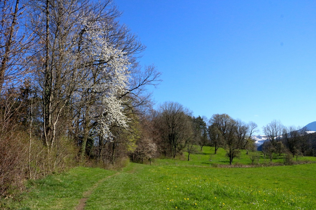 KOE_Wandertipp Margarethenkapf 34.jpg