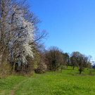 KOE_Wandertipp Margarethenkapf 34.jpg