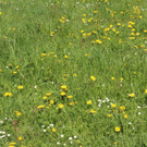 KOE_Wandertipp Margarethenkapf 35.jpg