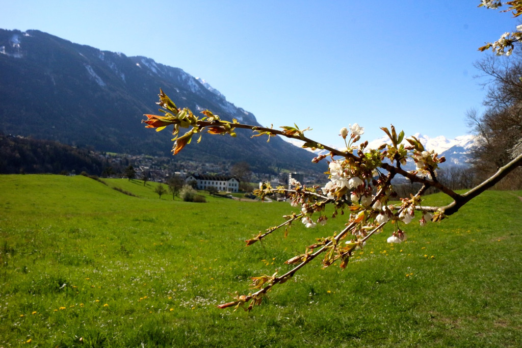 KOE_Wandertipp Margarethenkapf 37.jpg