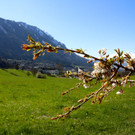 KOE_Wandertipp Margarethenkapf 37.jpg