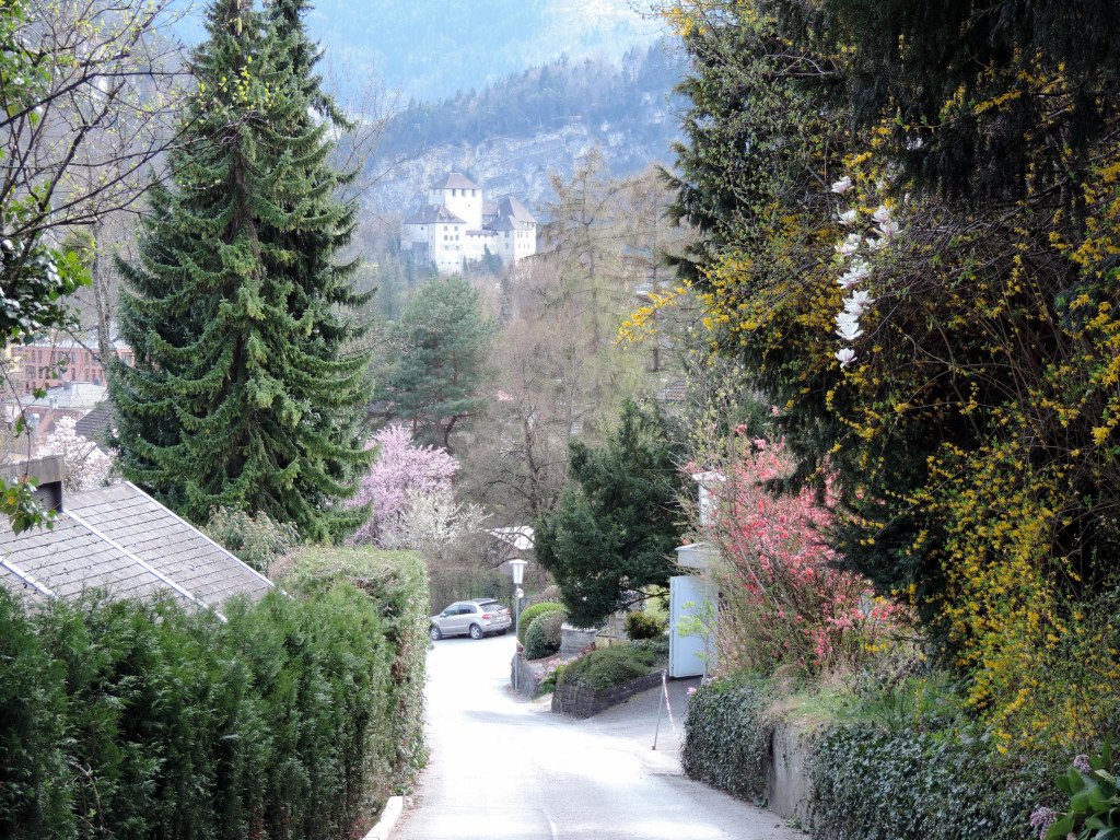 DSCN4537.JPG