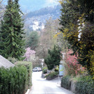 Spaziergang über den Ardetzenberg