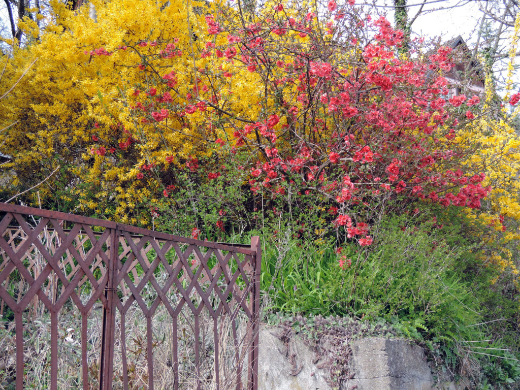DSCN4538.JPG