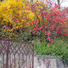 DSCN4538.JPG
