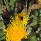 DSCN4543.JPG