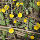 DSCN4544.JPG