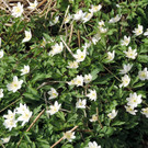 DSCN4545.JPG