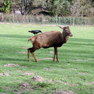 DSCN4546.JPG