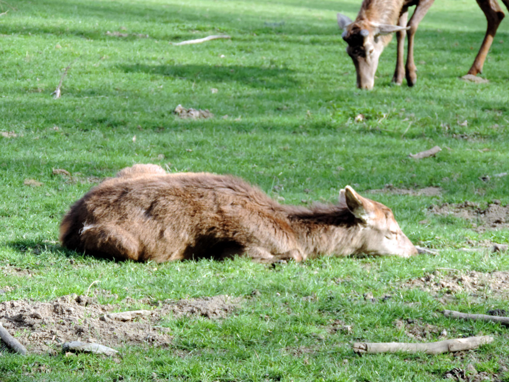DSCN4549.JPG