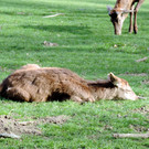 DSCN4549.JPG