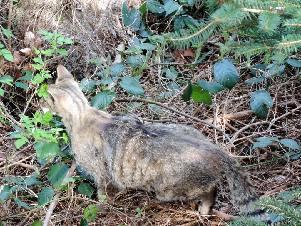DSCN4551.JPG