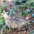 DSCN4551.JPG