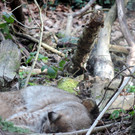 DSCN4553.JPG