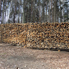 DSCN4554.JPG