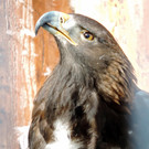 DSCN4557.JPG