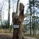 DSCN4558.JPG