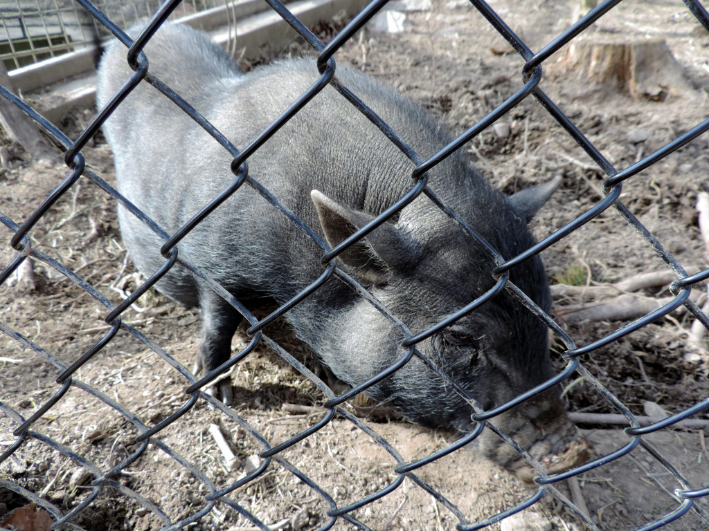 DSCN4562.JPG