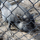 DSCN4562.JPG