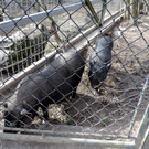 DSCN4563.JPG