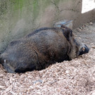 DSCN4564.JPG