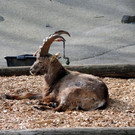 DSCN4565.JPG