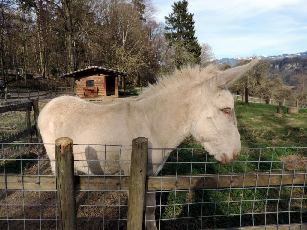 DSCN4570.JPG