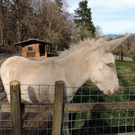 DSCN4570.JPG