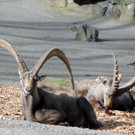 DSCN4572.JPG