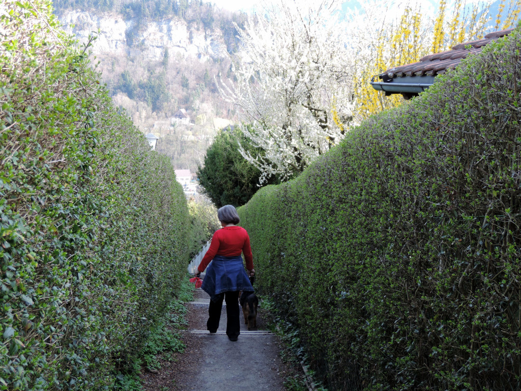 DSCN4576.JPG