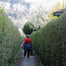 DSCN4576.JPG