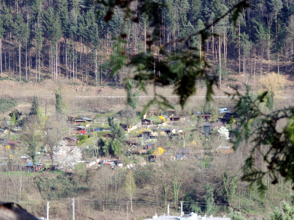 DSCN4577.JPG