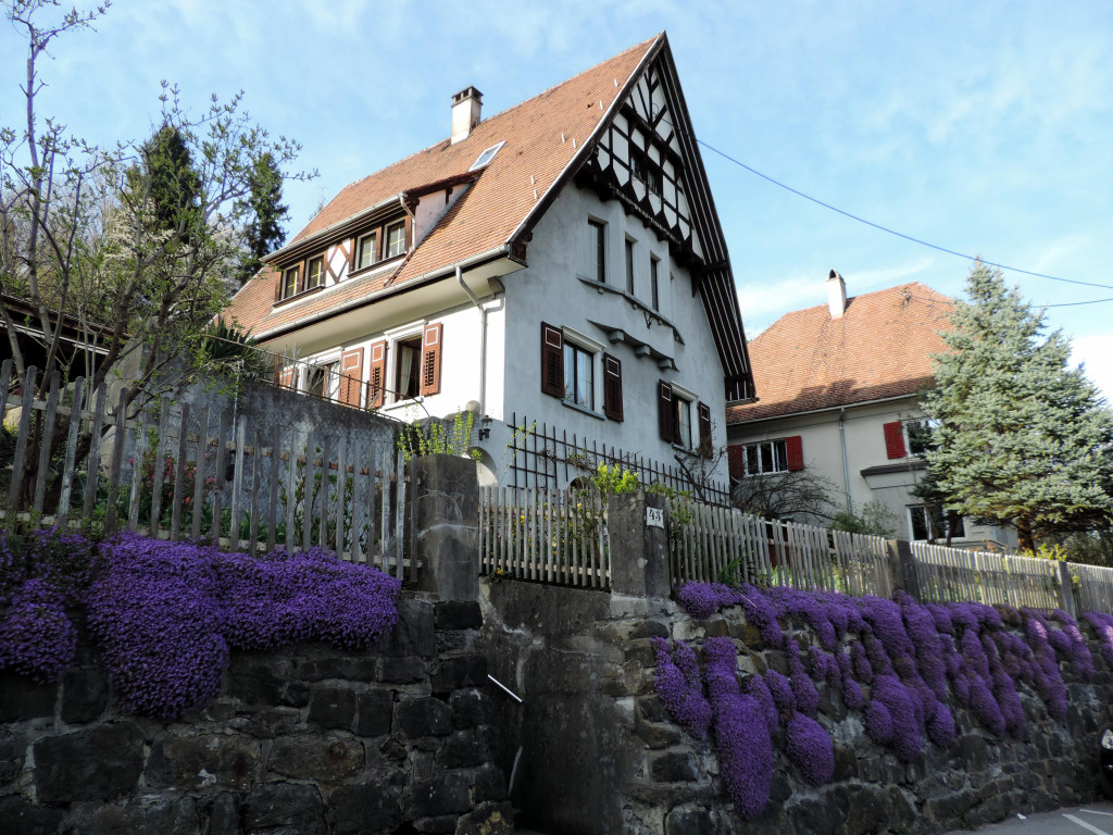 DSCN4578.JPG