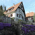 DSCN4578.JPG