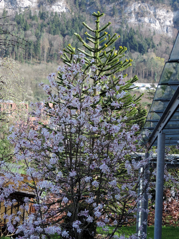 DSCN4581.JPG