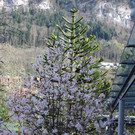 DSCN4581.JPG