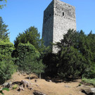DSCN9191.JPG