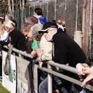 29_3_2014 FC Krumbach FC Riefensberg 77.jpg