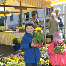 Samstagsmarkt in Lustenau