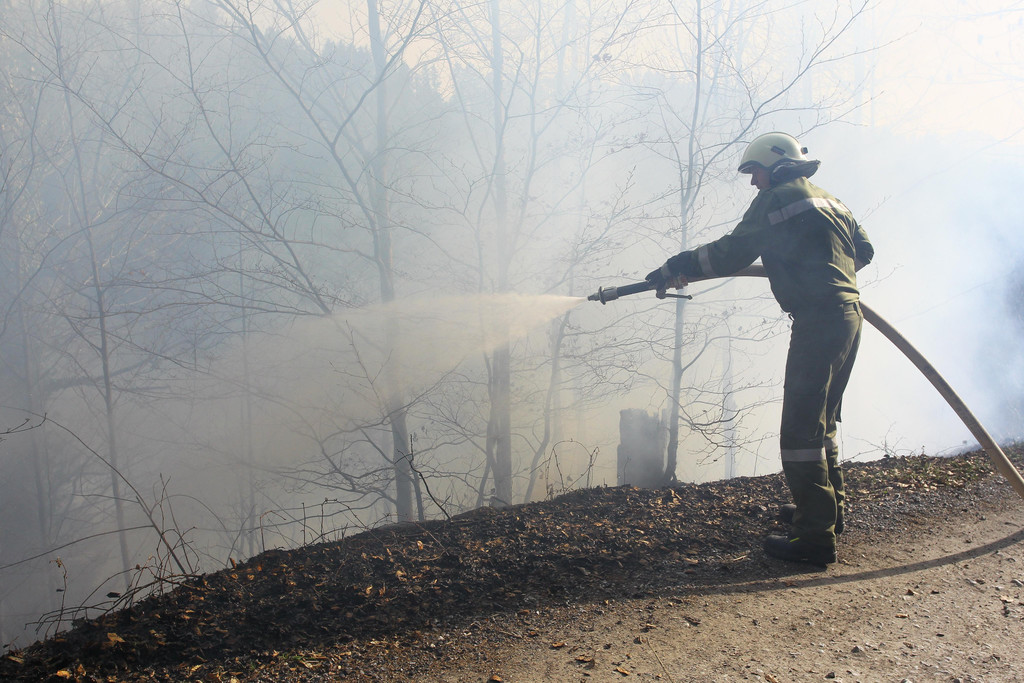 Waldbrand Ro__this03.jpg