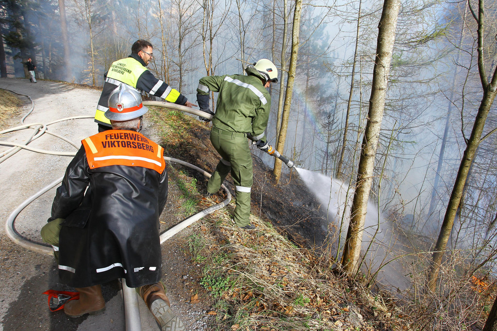 Waldbrand Ro__this04.jpg