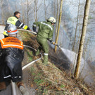 Waldbrand Ro__this04.jpg